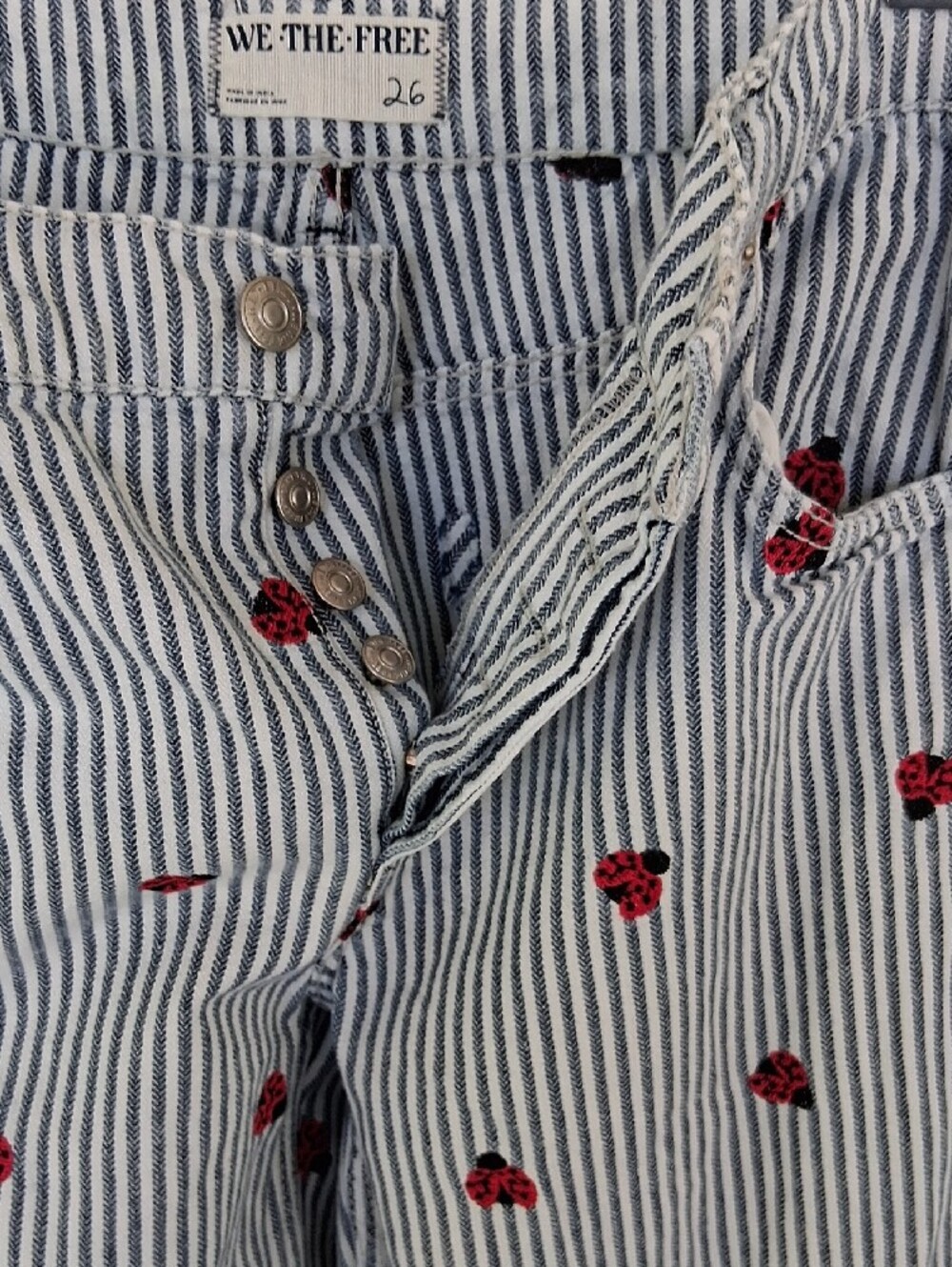 We The Free Blue & White Striped Wide-Leg Jeans with Red Ladybug Embroidery - Picture 4 of 7